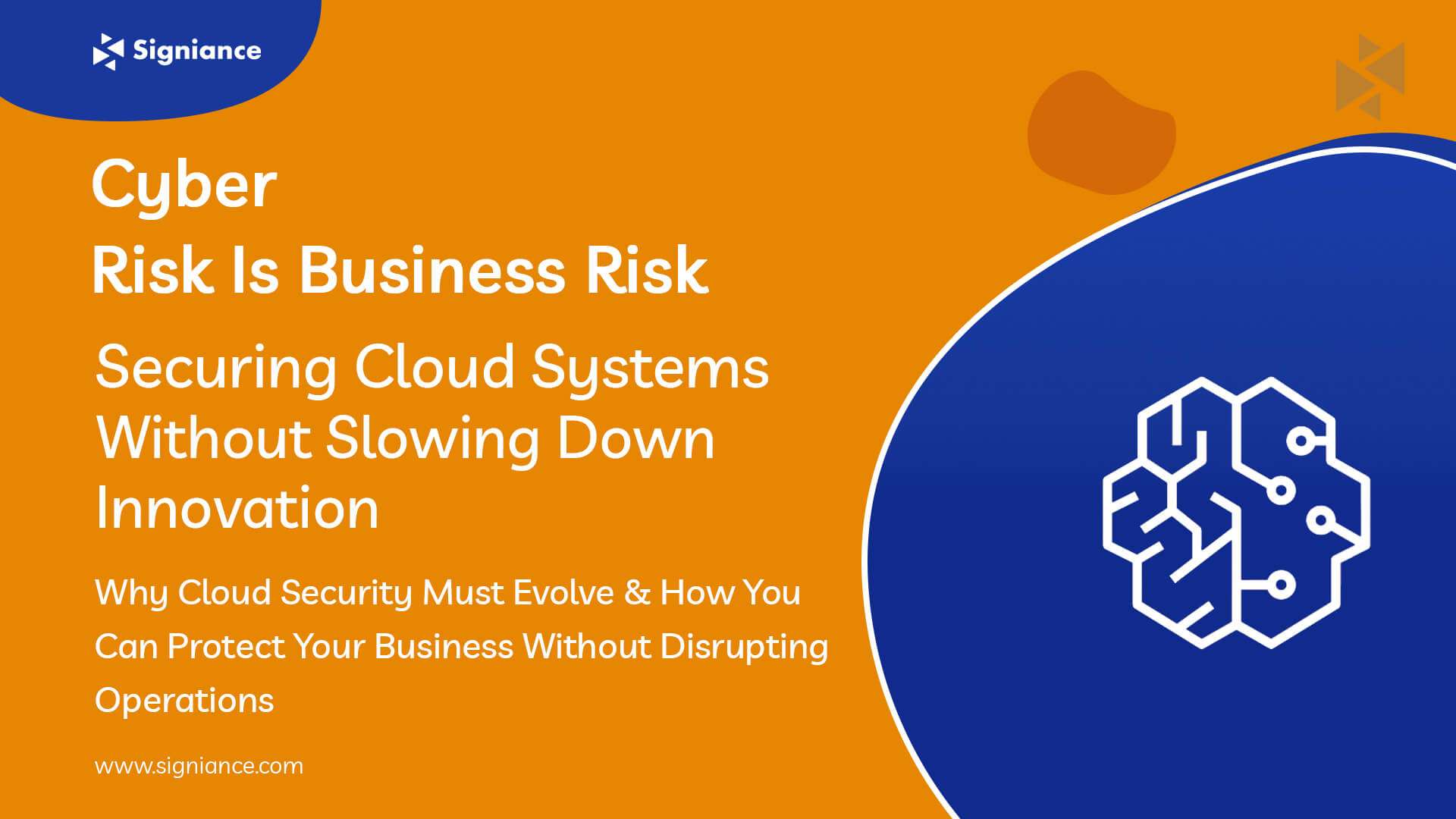 Cyber Risk Is Business Risk - Signiance