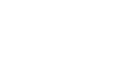 Website logo 1st - Signiance
